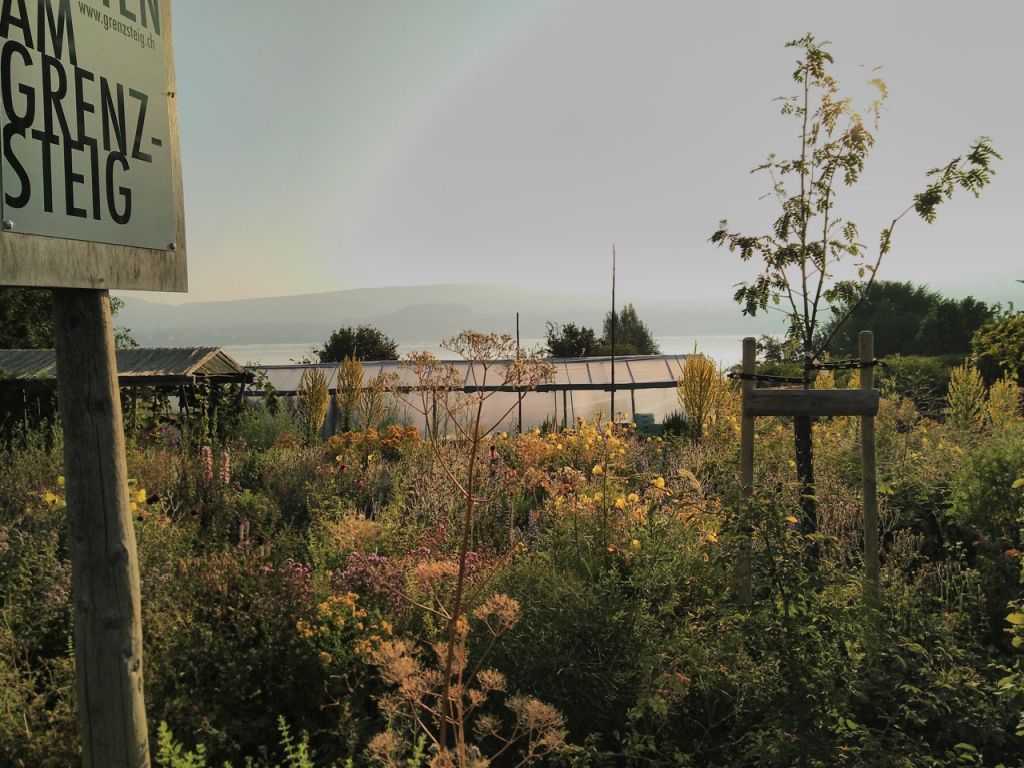 Mehr über den Artikel erfahren Besuch Gemeinschaftsgarten Grenzsteig